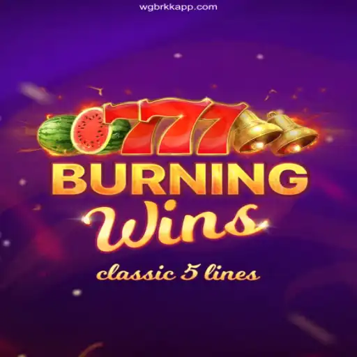 Exploring the Thrilling World of BurningWins